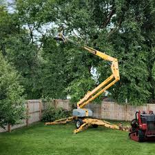Best Weed Control  in St Paul, VA