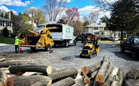 Best Emergency Tree Removal  in St Paul, VA